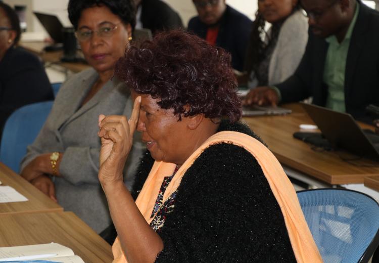 WEE Hub Leader Prof. Wanjiku Kabira addresses participants during meeting 