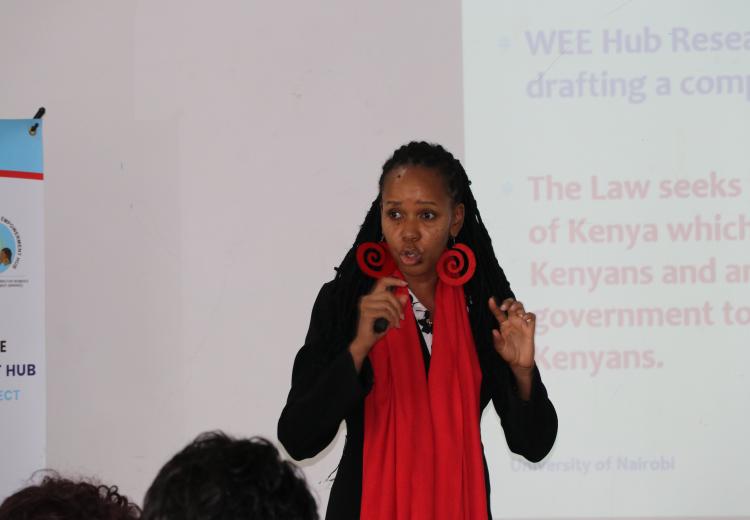 Dr. Nkatha Kabira makes presentation on Social Protection for WEE