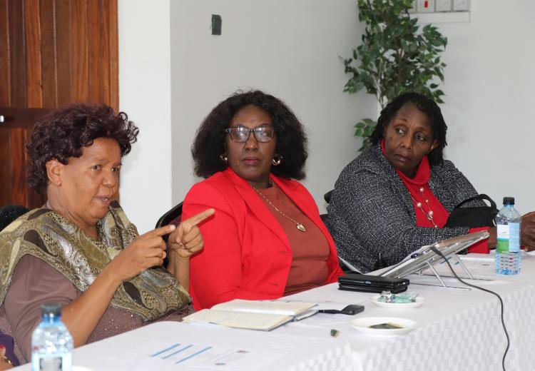 Prof. Wanjiku Kabira contributes to discussions - with Prof Tabitha Kiriti and Dr. Dorothy Njiraine