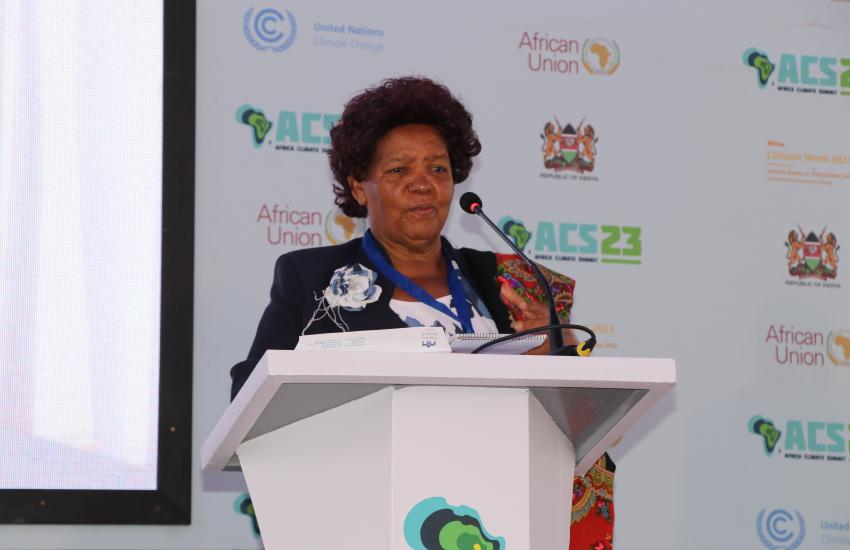 WEE Hub Leader Prof Wanjiku Kabira at AWSC Side Event during the Africa Climate Summit 2023