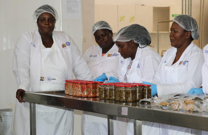 Members of Kisumu small fish traders group during technology training at KIRDI Kisumu