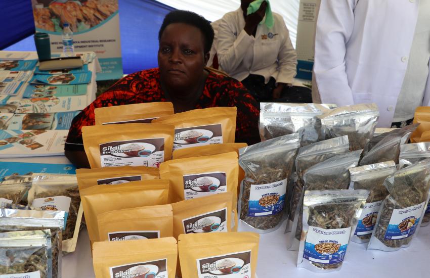 Participants of the Women's Business Incubation Project display their products at event