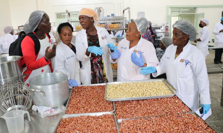 KIRDI representative explains value addition process to WEE Hub's Emilly Owiti