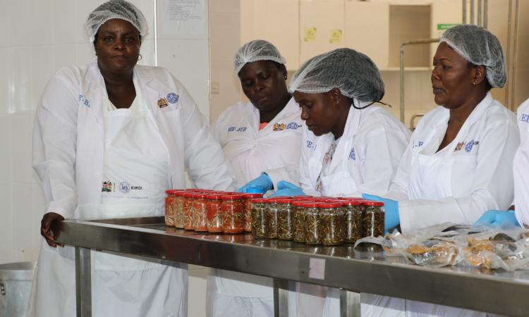 Members of Kisumu small fish traders group during technology training at KIRDI Kisumu