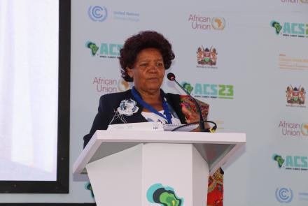 WEE Hub Leader Prof Wanjiku Kabira at AWSC Side Event during the Africa Climate Summit 2023